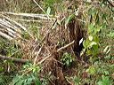 dsc00497
